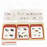 Комплект карточек Монтессори «Членистоногие»1