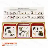 Комплект карточек Монтессори «Животные по способу питания»1