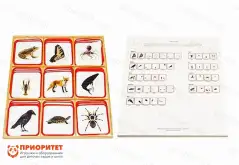 Комплект карточек Монтессори «Части тела»1