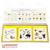 Комплект карточек Монтессори «Музыкальные инструменты»1