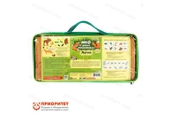 Комплект «Мир диких животных»