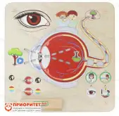 Панель «Зрение»1