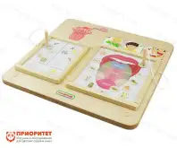 Панель «Вкус»1