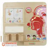 Панель «Обоняние»1