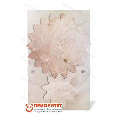 Настенный модуль «Вращательные движения» общий вид