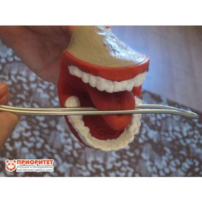 Шпатель Корицкого нержавеющий,полированный 2