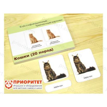Комплект трехчастных карточек Монтессори «Кошки»_1