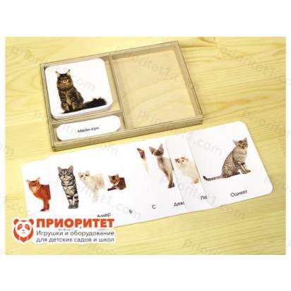 Комплект трехчастных карточек Монтессори «Кошки» 2_1