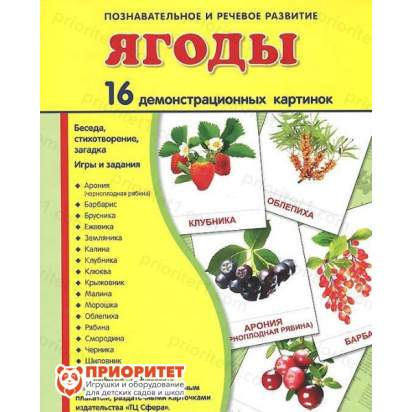 Демонстрационные карточки «Ягоды» (173x220 мм)_1