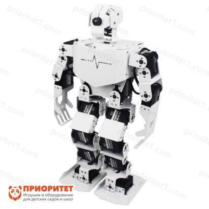 Андроидный робот TonyPi. Расширенный комплект 2_1