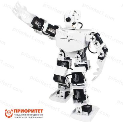 Андроидный робот TonyPi. Расширенный комплект 3_1