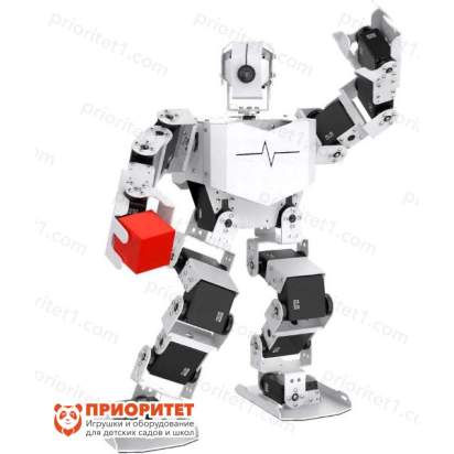 Образовательный робототехнический комплект Tony Pi PRO. Андроидный робот гуманоид. Продвинутый комплект_1
