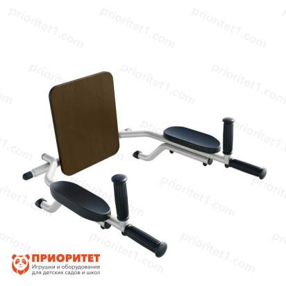 Брусья со спинкой