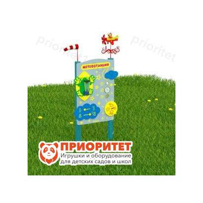 Метеостанция Царевна Лягушка