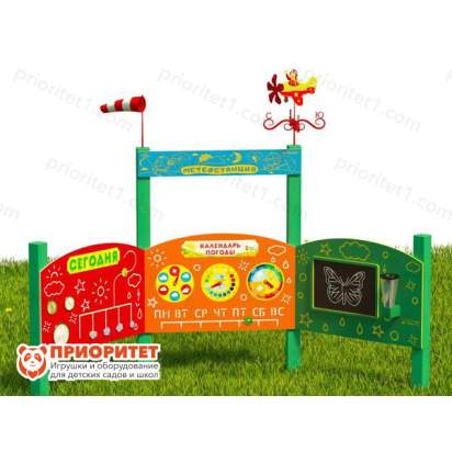 Метеостанция Премиум