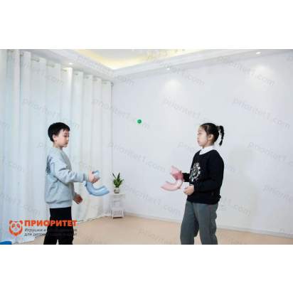 Набор с шариком Лови-бросай 8_1