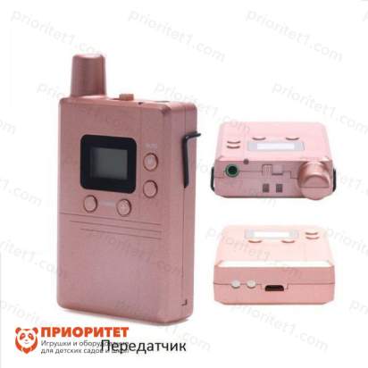 Радиокласс Индиго 1+4 2_1