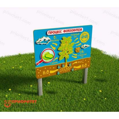 Модуль объёмный «Фотосинтез»_1