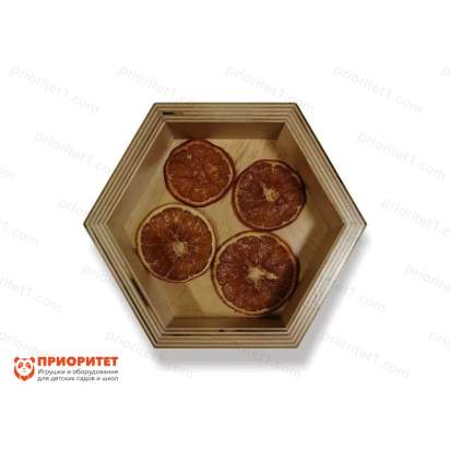 155892_Тактильные полочки «Открытия на ощупь» (17)_1