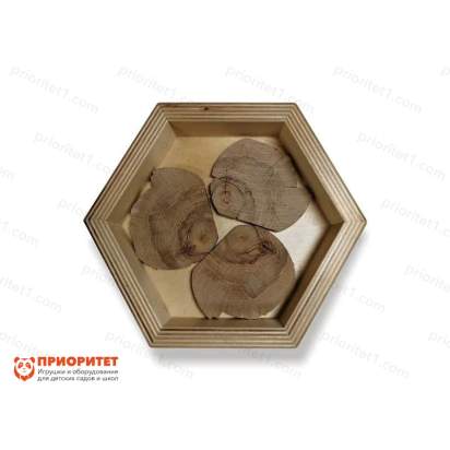 155892_Тактильные полочки «Открытия на ощупь» (6)_1