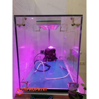 Биолаборатория. Умная грядка 2_1