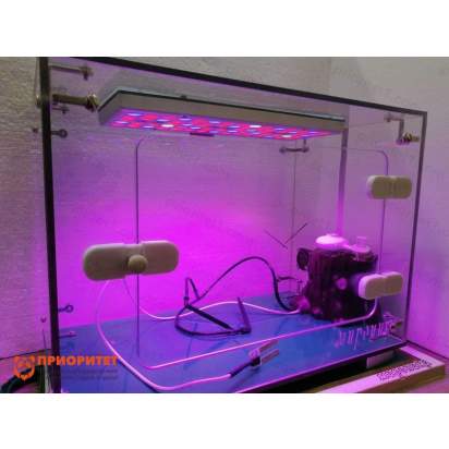 Биолаборатория. Умная грядка 4_1