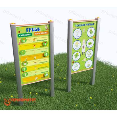 Зеленая аптека и грибы_1