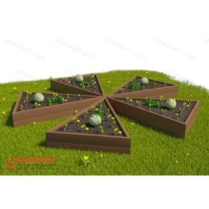 Грядка звезда корич_1