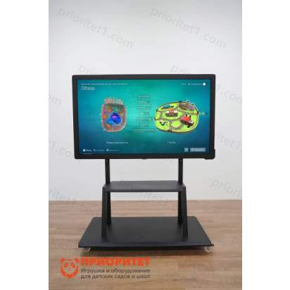 Интерактивная панель FLY W 65 3_1