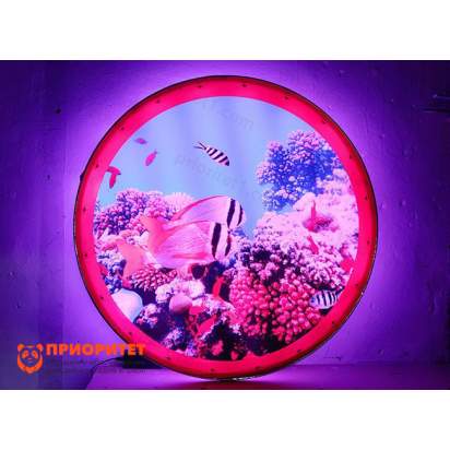 illuminator-dlya-temnoy-komnaty-22_1