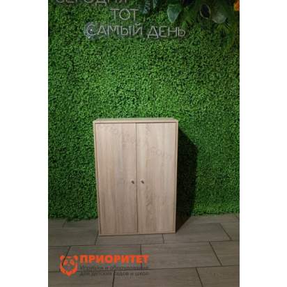 Шкаф Нарния с полкой и выдвижной вешалкой, СОНОМА