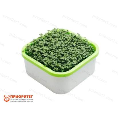 Обучающий комплект экологической направленности Сити-фермер 2.01_1