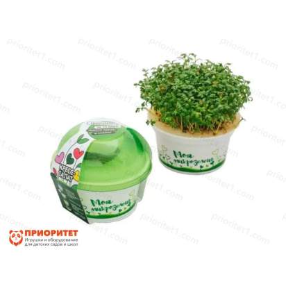 Обучающий комплект экологической направленности Сити-фермер 2.02_1