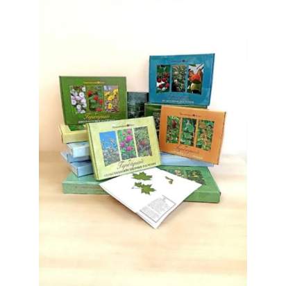 Комплект гербариев демонстрационных_1