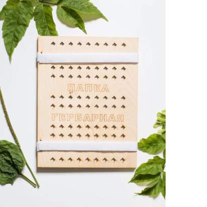 Папка гербарная_1