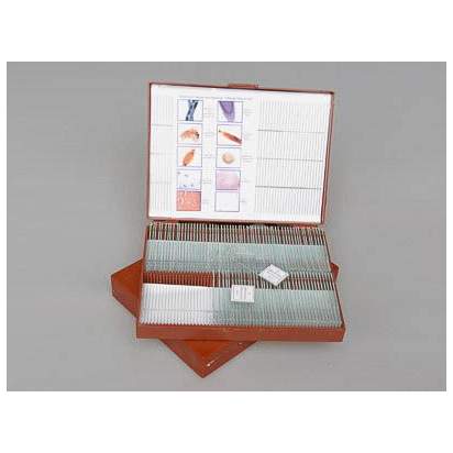 Комплект микропрепаратов по общей биологии (профильный уровень)11_1