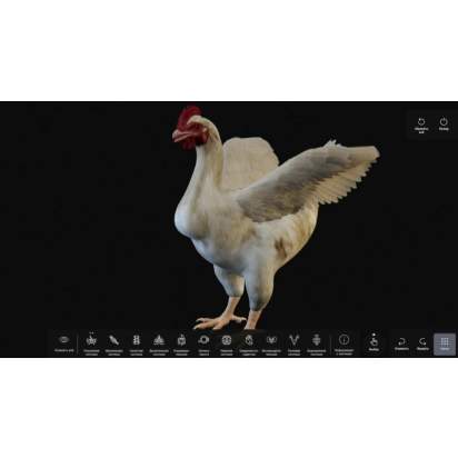 Виртуальный учебный комплекс Интерактивный трехмерный атлас анатомии животных3_1