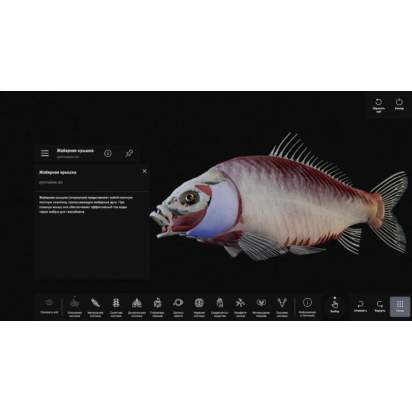 Виртуальный учебный комплекс Интерактивный трехмерный атлас анатомии животных6_1