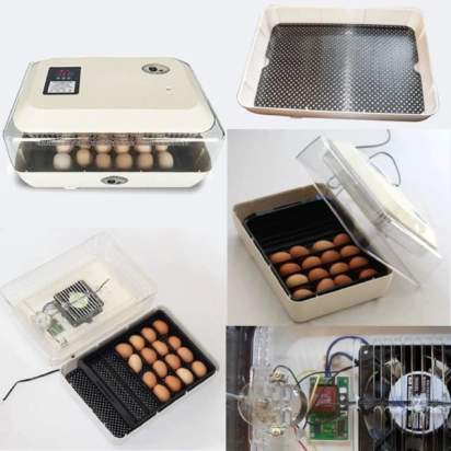 Инкубатор_1