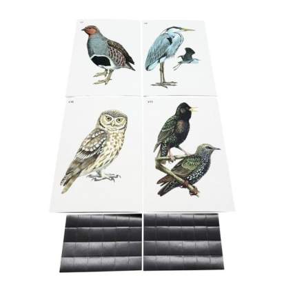 Комплект моделей-аппликаций демонстрационный2_1