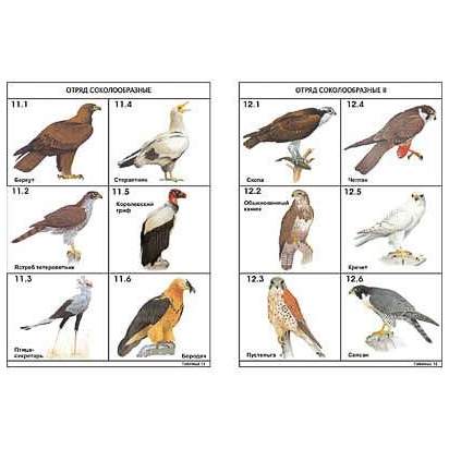 Комплект печатных пособий_1