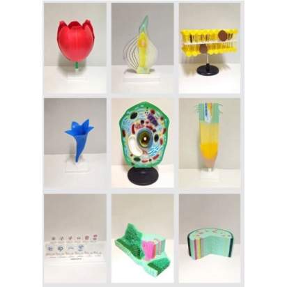 Комплект моделей Цветоводство_1_1