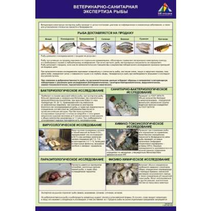 Учебно-демонстрационные стенды по аквакультуре, комплект_1