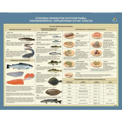 Стенд «Способы обработки костной рыбы. Полуфабрикаты. Порционные куски. Пласты»_1