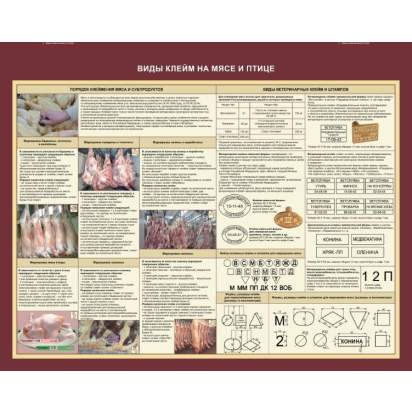 Стенд «Виды клейм на мясе и птиц»_1