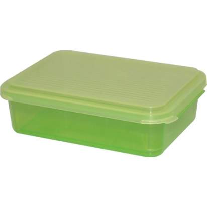 Контейнер для выдержки с крышкой 15х25 см_1