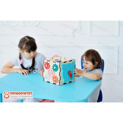 Бизикуб Полезная игра общий вид