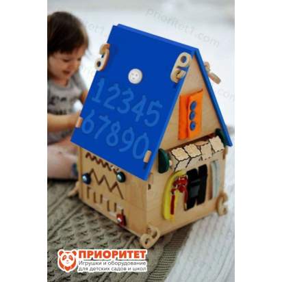 bizidom-veselye-tcifry-sinyaya-krysha-1-1