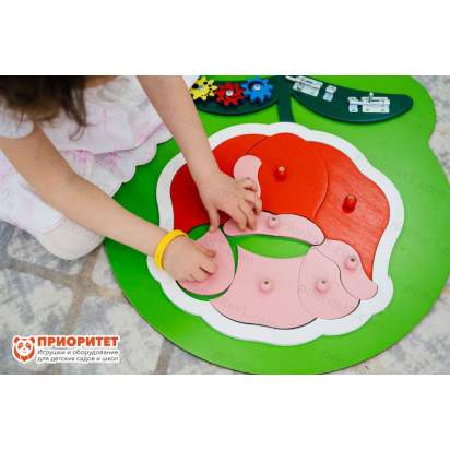 Бизиборд «Роза» с лепестками