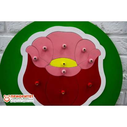 Бизиборд «Роза» с лепестками